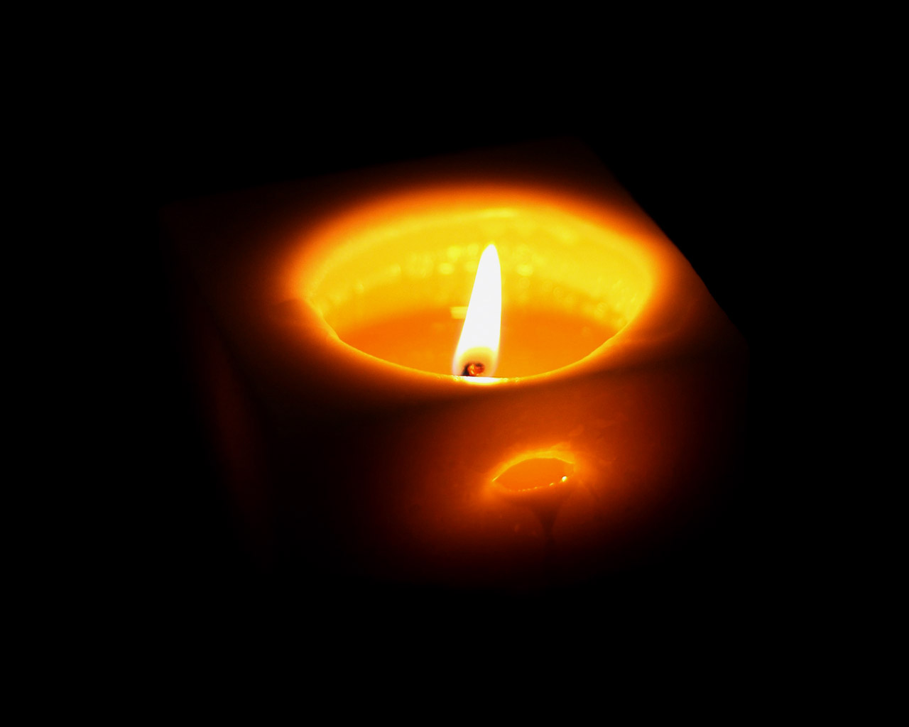 152695_6629970_21.jpg