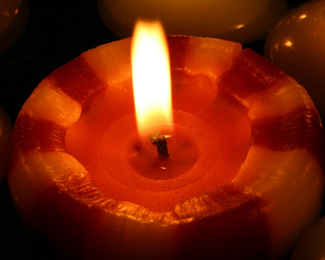 152695_6629970_23.jpg