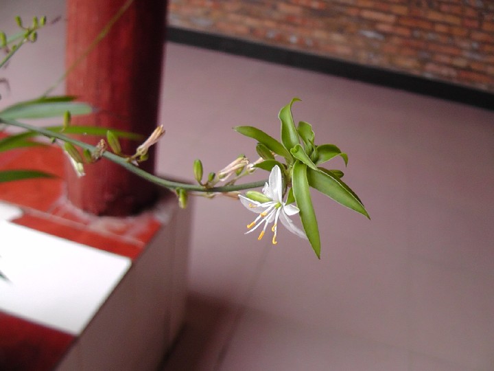 S1520036.JPG