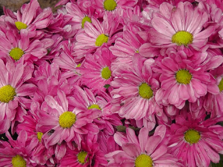 S1520046.JPG