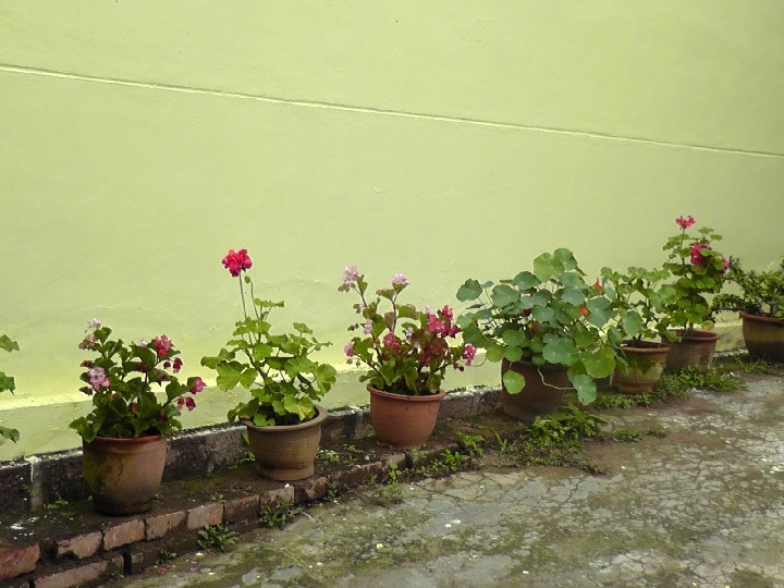 S1520157.JPG