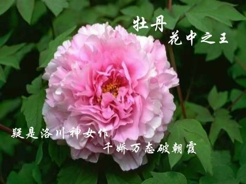 1994118_2.jpg