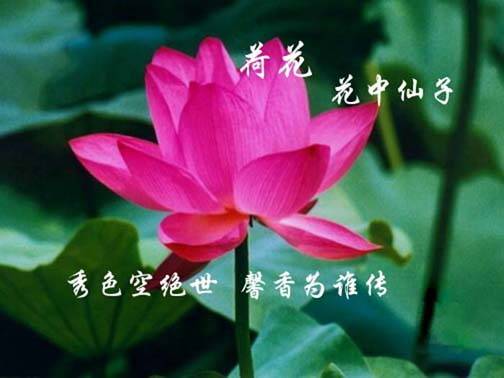 1994118_4.jpg