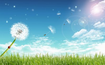 200992615742515cg_design_fly_away_dandelion_under_blue_sky.jpg