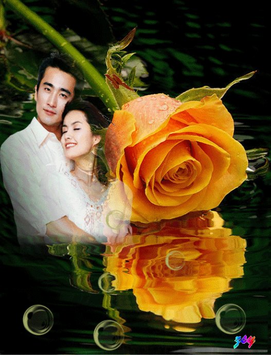 141259wlb7vlfee3edd0ss.jpg