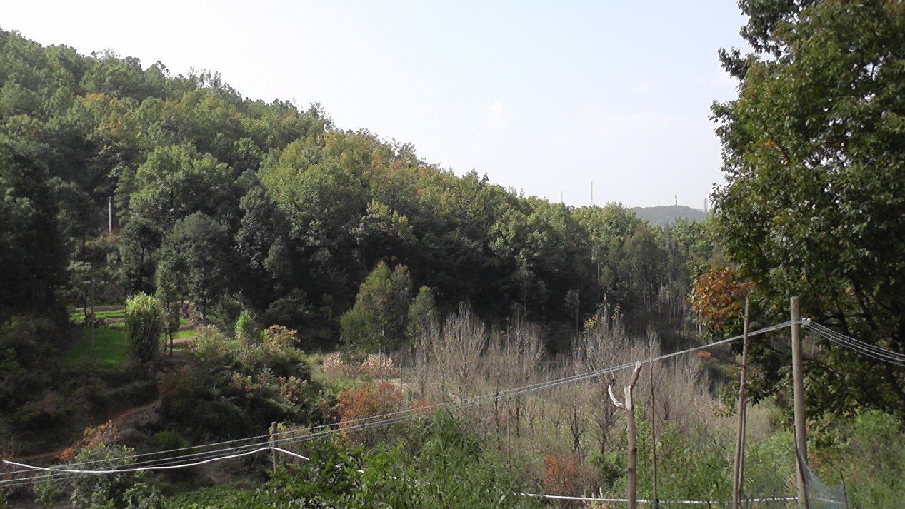 S1550121.JPG