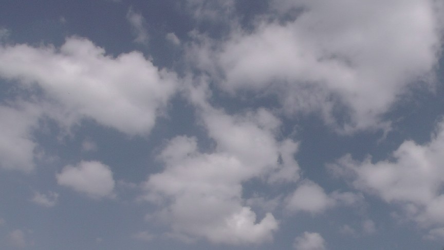S1550156.JPG