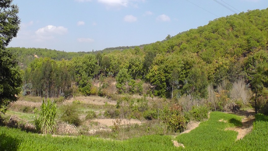 S1550165.JPG