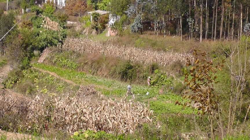 S1550168.JPG