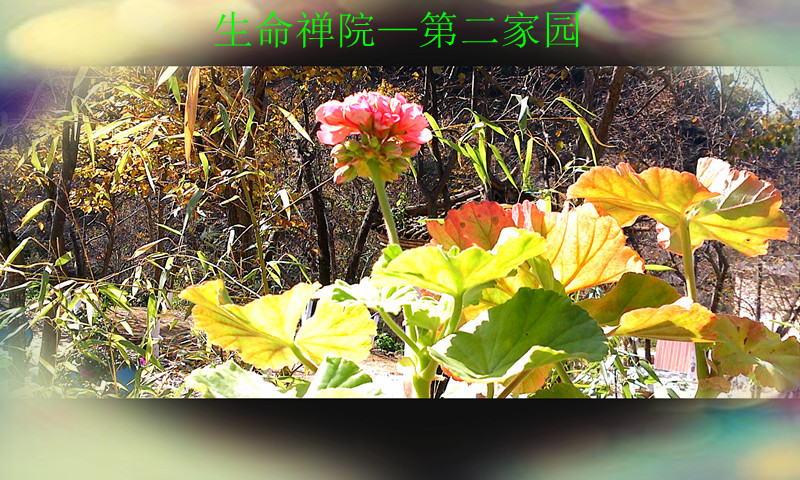 img1121140802_.jpg
