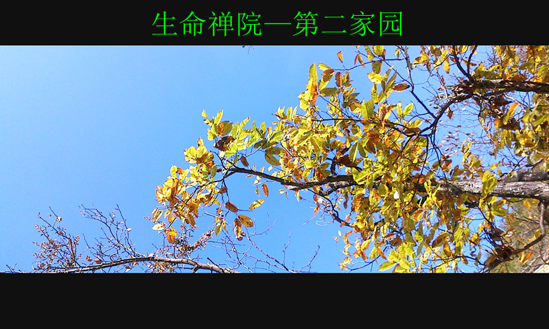img1121140900_.jpg