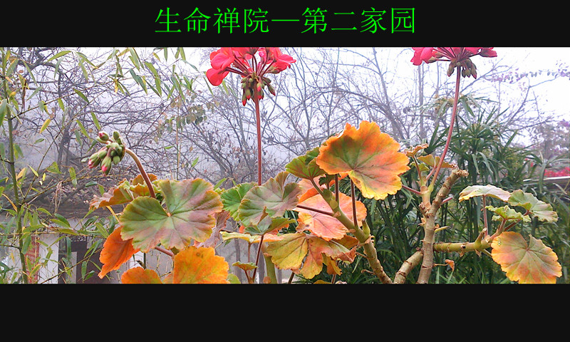 img1122100300_.jpg