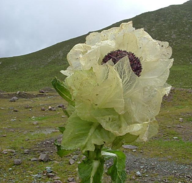 12514818_8.jpg