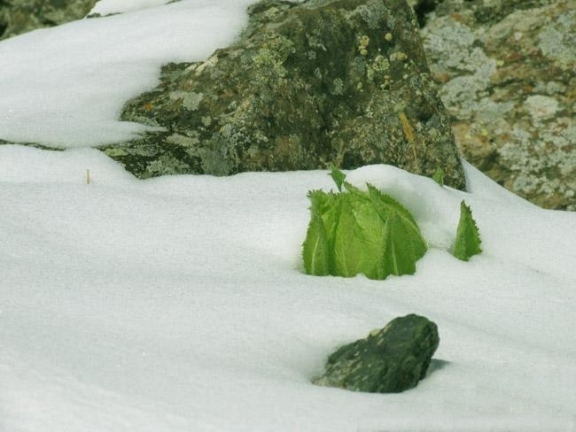 12514818_9.jpg
