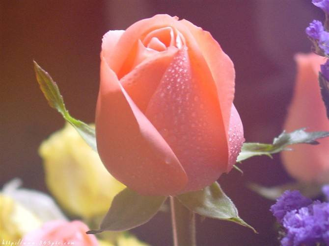 20057212_13.jpg
