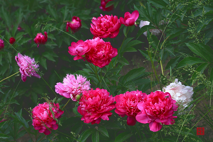 20120874_1.jpg
