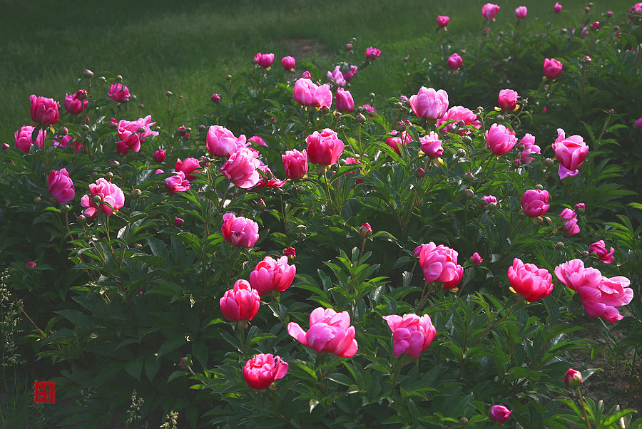 20120874_2.jpg
