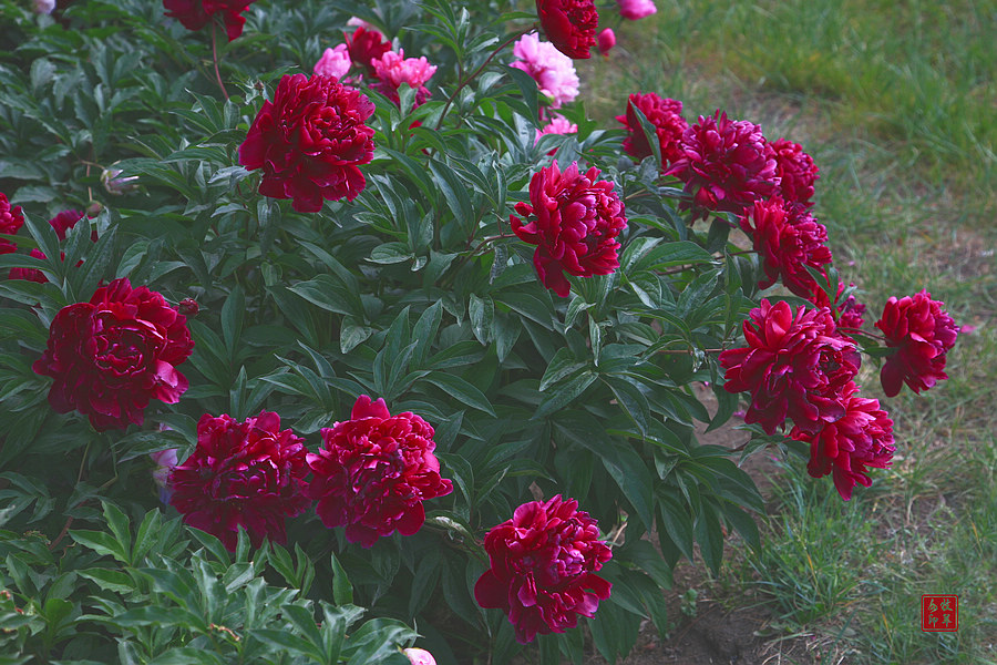 20120874_3.jpg