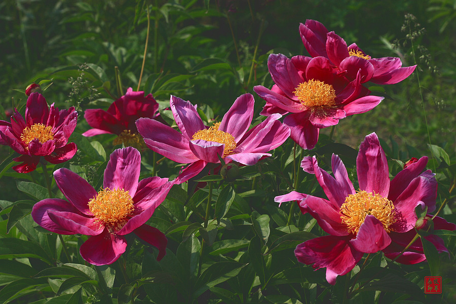 20120874_4.jpg