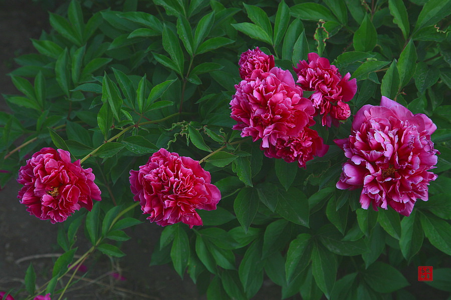 20120874_5.jpg