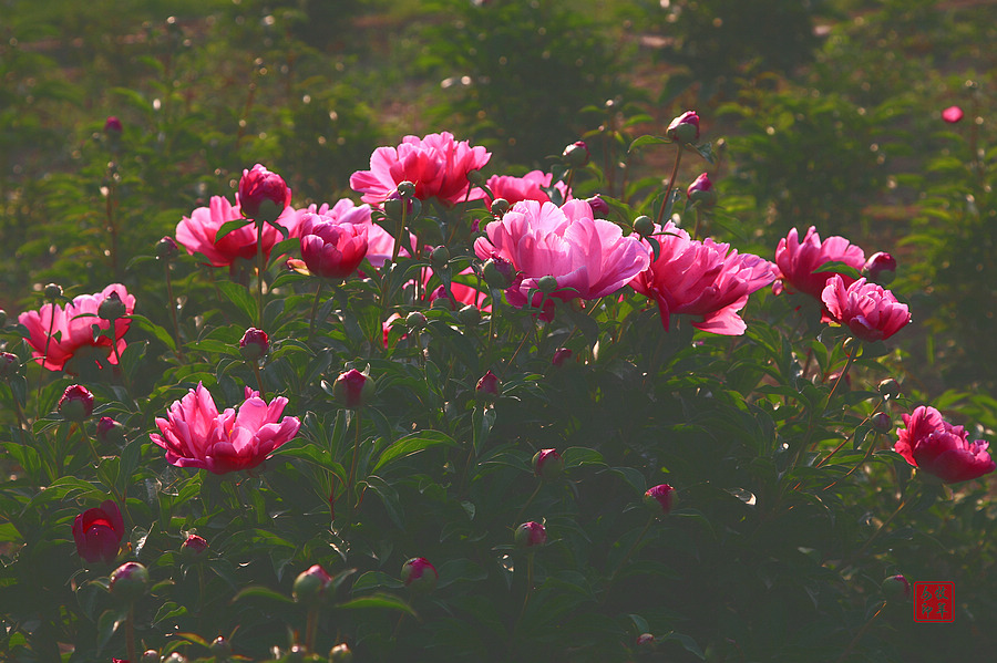 20120874_6.jpg