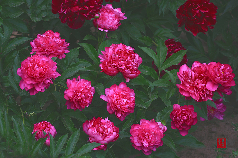 20120874_7.jpg