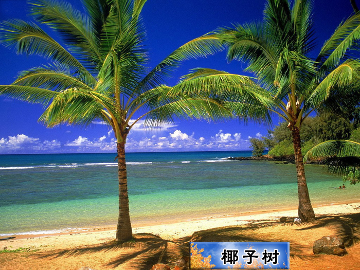 Ҭ.jpg