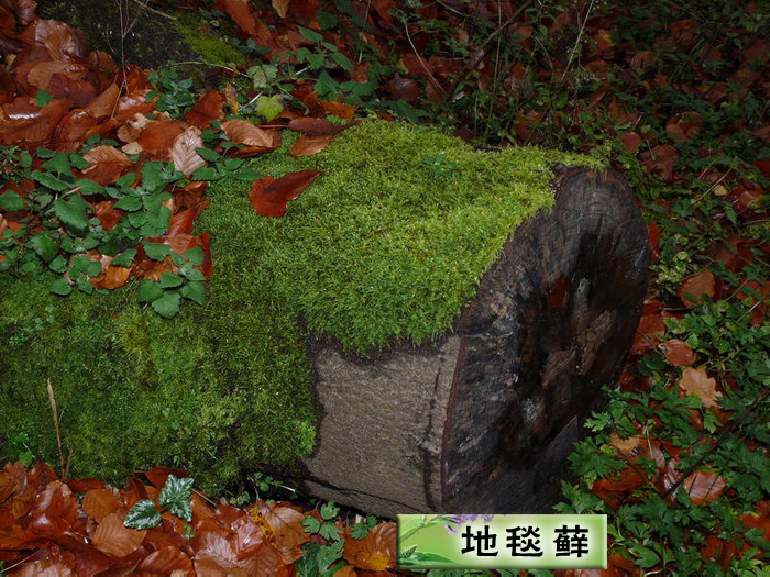 ̺޺.jpg