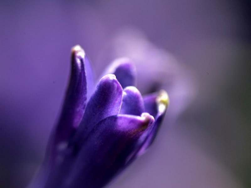 4040517_10.jpg