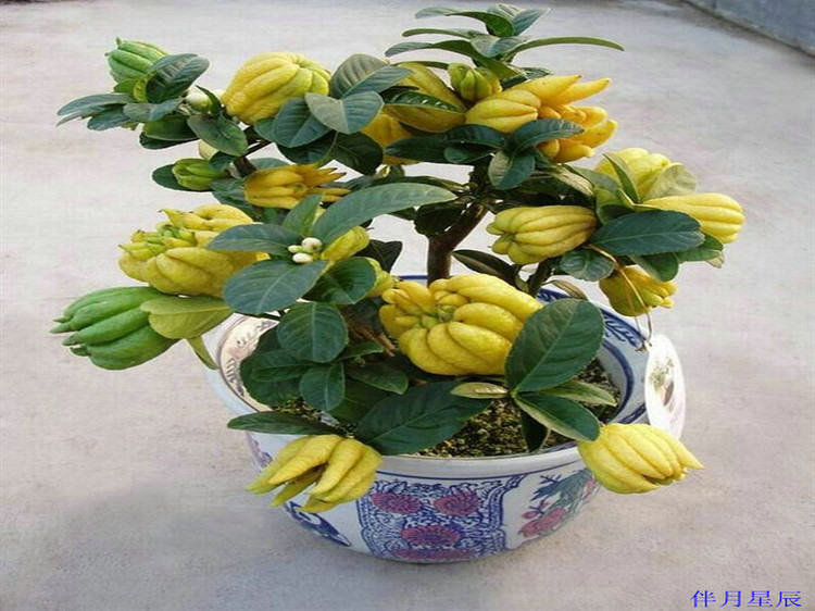 35.jpg