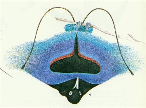 40938491_53147908.jpg