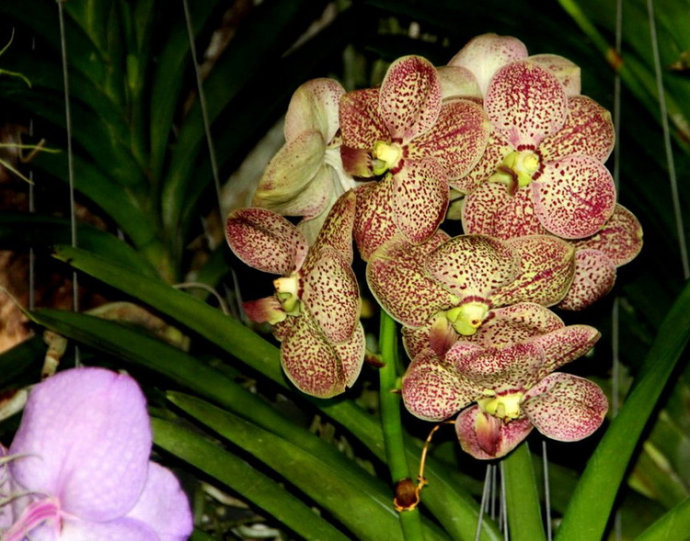 21003492_32.jpg