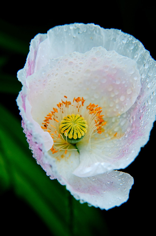 19955534_9.jpg
