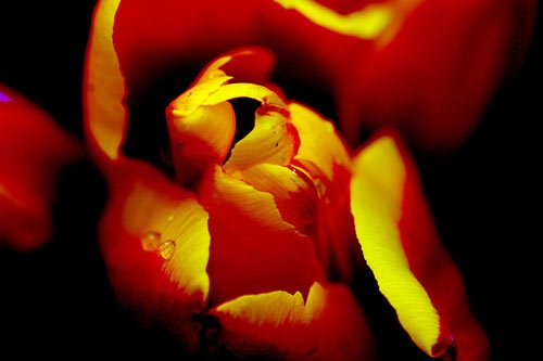 21231702_18.jpg