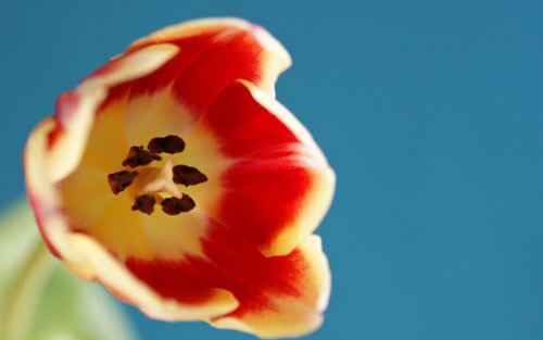 21231702_20.jpg