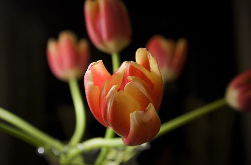 21231702_27.jpg
