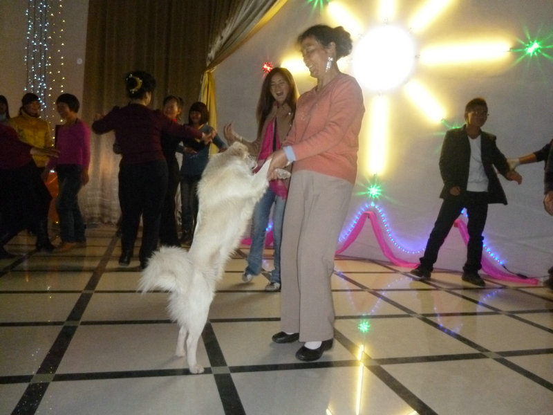 1202062317554e0d312ab8331f.jpg