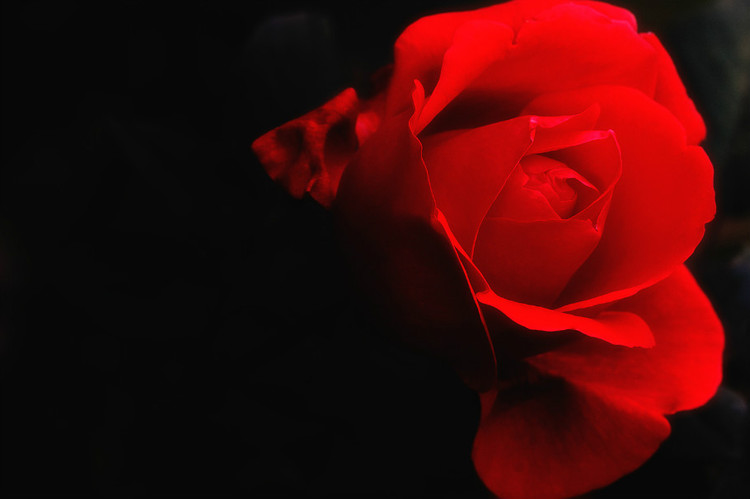 21520731_11.jpg