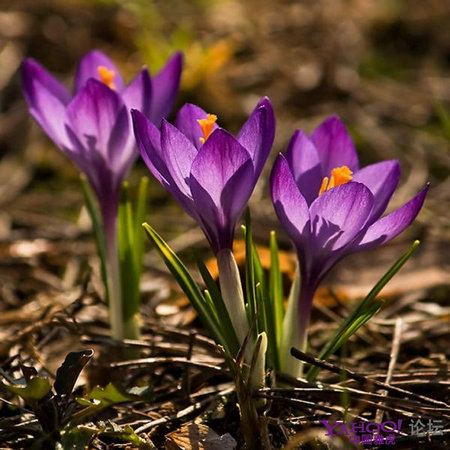 169_221704_303c9db58d37aec.jpg