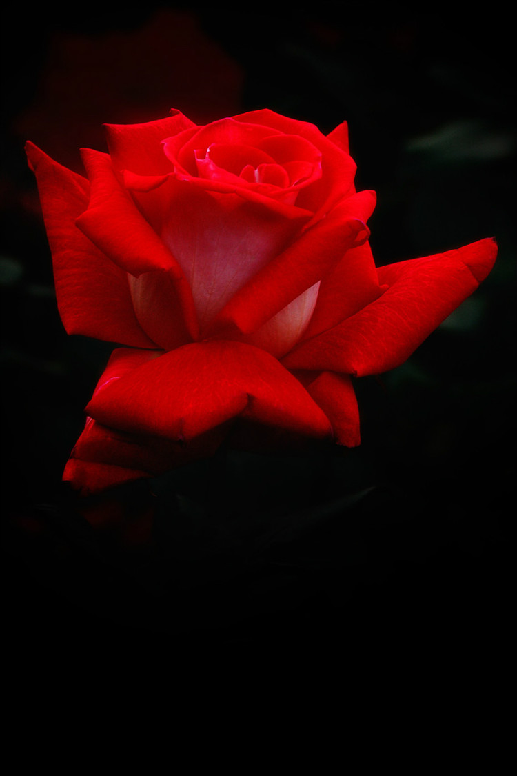 21518745_17.jpg
