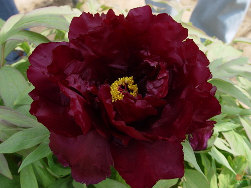 21980270_3.jpg