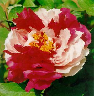 21980270_5.jpg