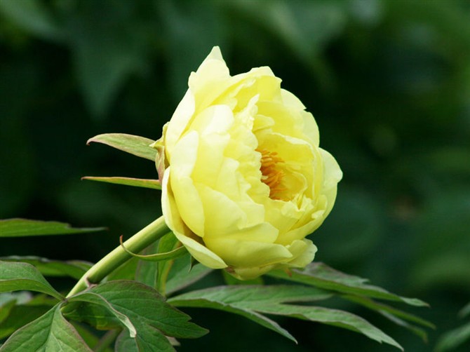 21980270_7.jpg