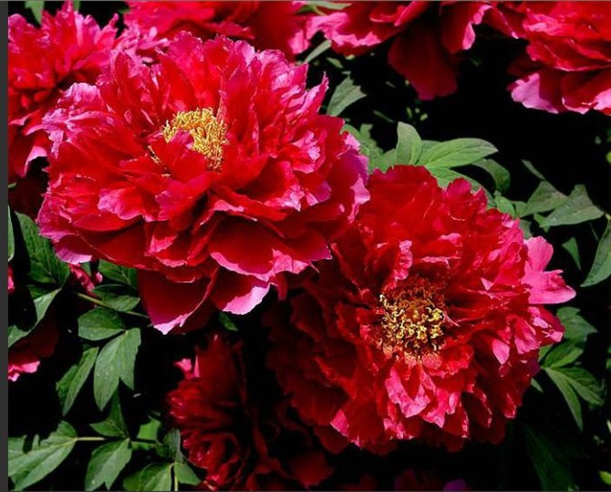 21980270_9.jpg