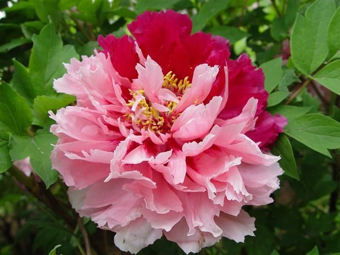 21980270_14.jpg