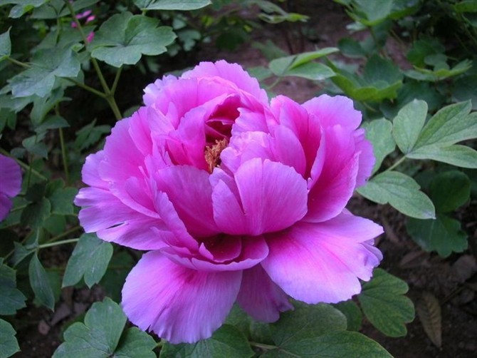 21980270_17.jpg