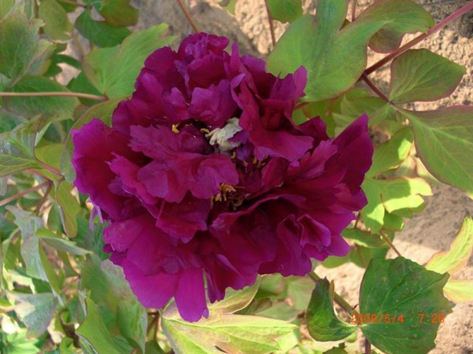 21980270_26.jpg