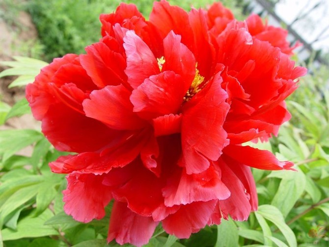 21980270_28.jpg