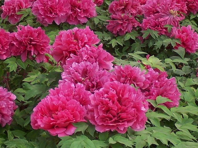 21980270_30.jpg
