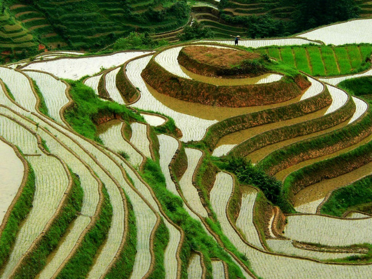 21992458_17.jpg